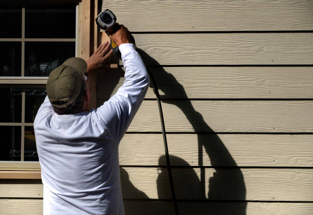 Best Custom Siding Design  in Wright, WY